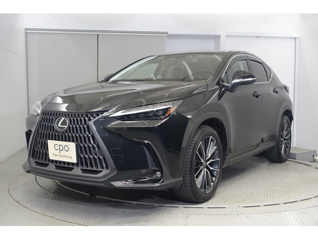 NX 250 バージョンL NX 250 バージョンL