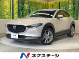 純正8型SDナビ 全周囲カメラ 衝突被害軽減システム レーダークルーズ