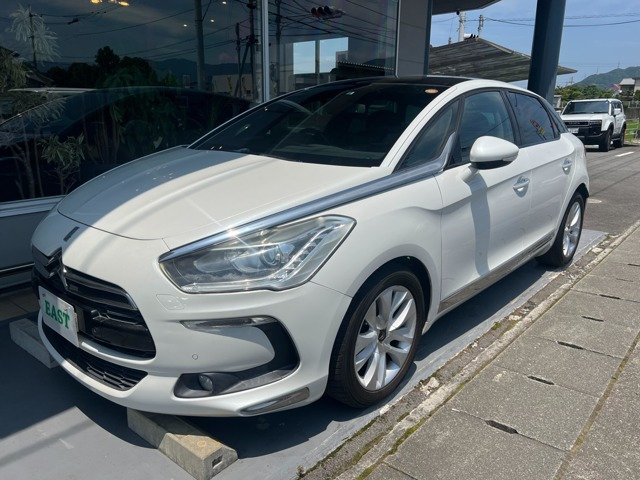 DS5 シック 
