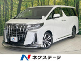 サンルーフ 後席モニター BIG-X-11型ナビ バックカメラ 両側電動