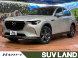 ターボ ディーゼル(軽油) 純正SDナビ 全周囲カメラ 100V電源