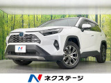 純正10.5型ディスプレイ バックカメラ 100V電源 衝突軽減装置