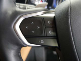 ステアリングスイッチ付き。前方から目を離すことなく操作することが可能です