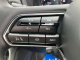 オーディオの音量などはハンドルのスイッチでわき見することなく安全に操作することができます。