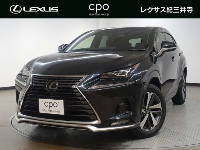 NX 300 スパイス&シック