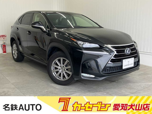 NX 300h Iパッケージ 