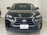 NX 300h Iパッケージ 