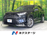 禁煙車 パノラマルーフ モデリスタフルエアロ