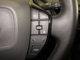 レーダークルーズコントロール(全車速追従機能付)