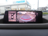 360℃ビューカメラ付きです。
