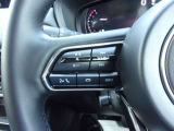 オーディオの音量やチャンネル操作ができるスイッチが、ハンドルに付いています。運転中でも、操作が行えて非常に安全・便利です!