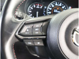 ステアリングスイッチ付き。前方から目を離すことなく操作することが可能です。