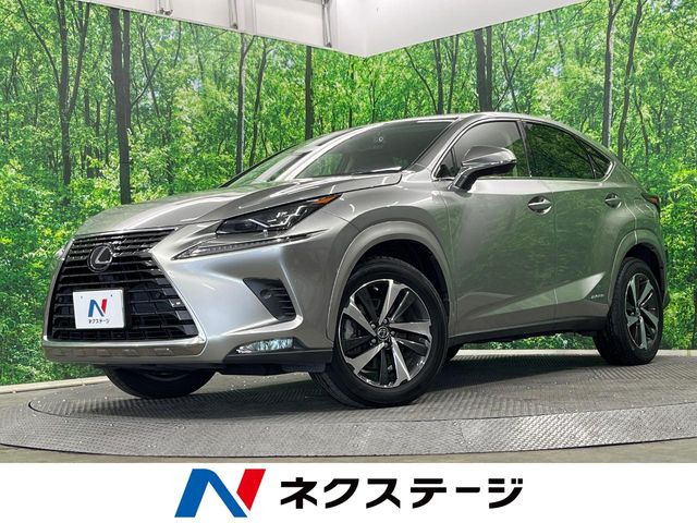NX 300h Iパッケージ
