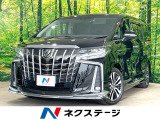 フルエアロ 両側電動ドア 純正10型SDナビ 後席モニター 全周囲カメラ