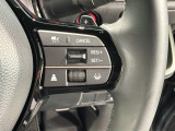クルーズコントロールを装備しています。高速道路などで一定の速度で走ってくれるので運転が楽ですよ!速度を設定できますので、スピードの出しすぎにも注意できます。
