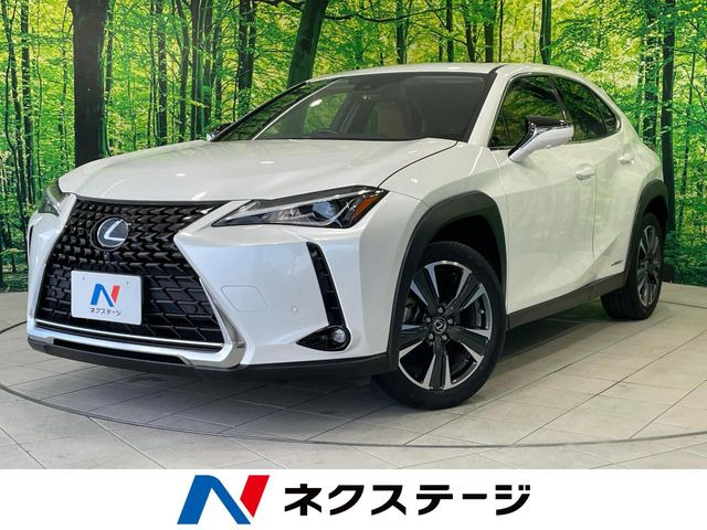 UX 250h バージョンC