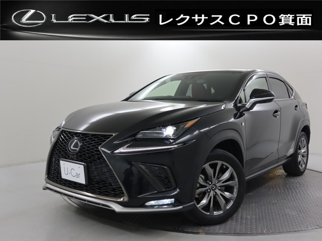NX 300h Fスポーツ 