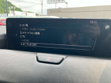 オーディオソースはこのようになっています。
