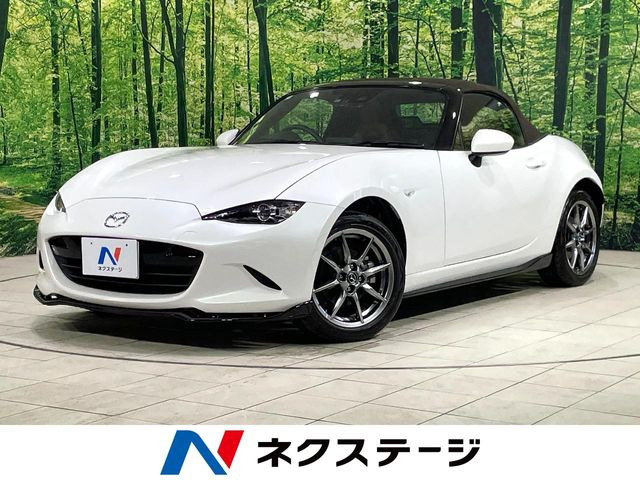 ロードスター1.5 ブラウン トップ