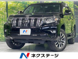 サンルーフ 純正9型ナビ 全周囲カメラ 100V電源 衝突軽減