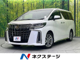 後席モニター 両側電動ドア バックカメラ 衝突被害軽減 レーダークルーズ