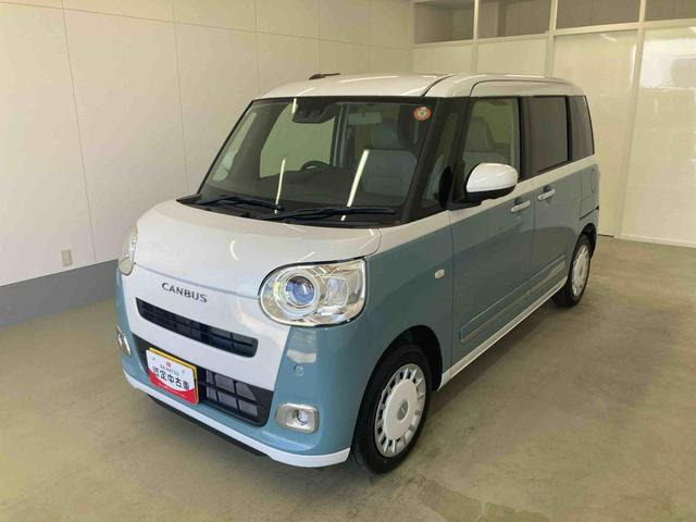 ムーヴキャンバス  ストライプス G