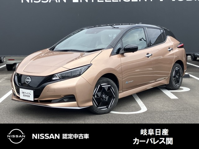 日産 リーフ 