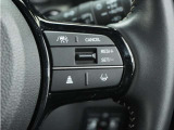 ◆アダプティブクルーズコントロール◆予め設定した車速内でクルマが自動的に加減速。前走車との適切な車間距離を維持しながら追従走行します。【LKAS】車線維持支援システムでステアリング操作を支援。