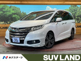 BIG-X9型ナビ バックカメラ レーダークルーズ 両側電動ドア 禁煙車