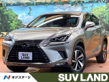 禁煙車 4WD 純正10型ナビ 全周囲カメラ レーダークルーズ ETC