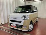 ムーヴキャンバス  ストライプス G