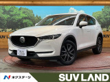 レーダークルーズ 禁煙車 電動リアゲート パワーシート ドラレコ
