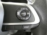 ステアリングスイッチでクルーズコントロール機能の操作ができます。長距離の高速走行時の疲労軽減や燃費に役立ちます。