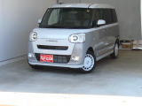 ムーヴキャンバス  ストライプス G