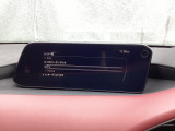 さまざまなオーディオソースが楽しめます!地デジつき!スマホとの連動も楽々です♪