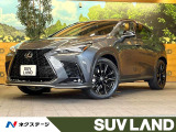 14型メーカーナビ パノラマルーフ 全周囲カメラ 衝突被害軽減システム