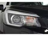 LEDヘッドランプは白色または青白い光を放ちます。夜間でも遠くまで見通しが良くなり、道路標識や歩行者をより早く認識できます。