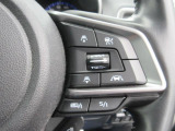 プリクラッシュブレーキだけではなく0km?100km/hでの追従走行やふらつき警告、駐車場等での誤発進防止機能、車線維持機能など、 にも多くの機能がございます。
