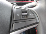 クルーズコントロールで高速での運転がラクになります(^_^.)