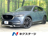 AutoExeローダウンスプリング ディーゼル(軽油) シートヒーター