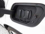 EX30 ウルトラ シングルモーター エクステンデッド レンジ 