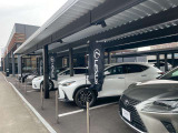 他店の在庫もご案内できます。