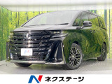 ガラスルーフ 純正14型ナビ 両側電動ドア 全周囲カメラ 100V電源