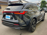 NX 250 バージョンL 