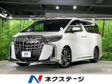 サンルーフ エアロ 純正9型DA 後席モニター バックカメラ