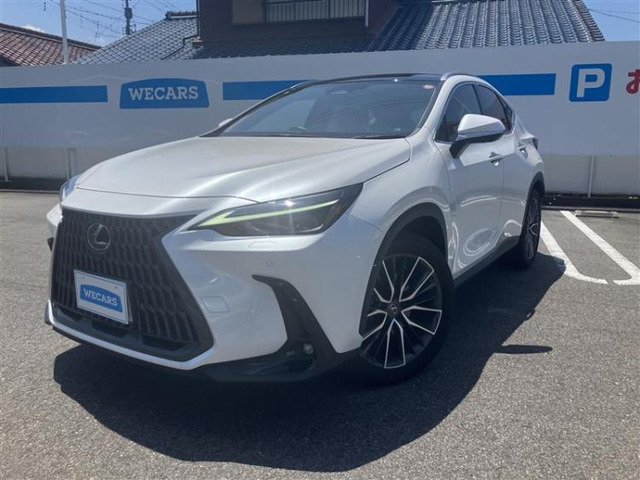 NX 250 バージョンL