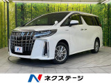 4WD 両側パワースライドア 純正10インチSDナビ バックカメラ