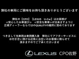 GS F  5.0