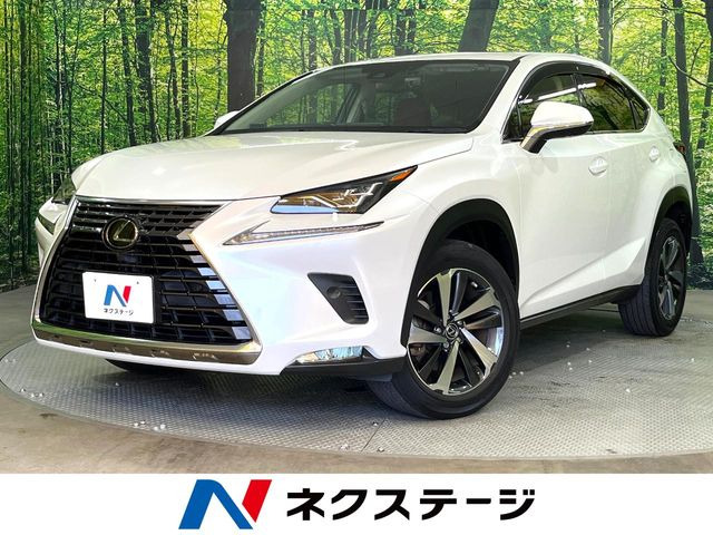 NX 200t Iパッケージ