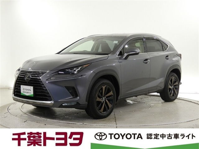 NX 300 バージョンL 4WD 